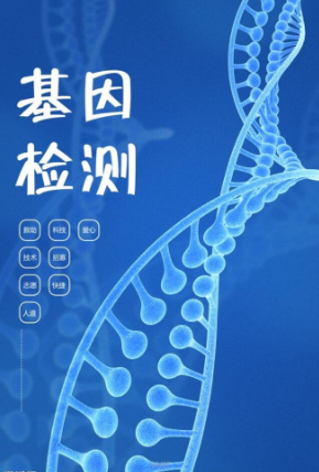 预览区